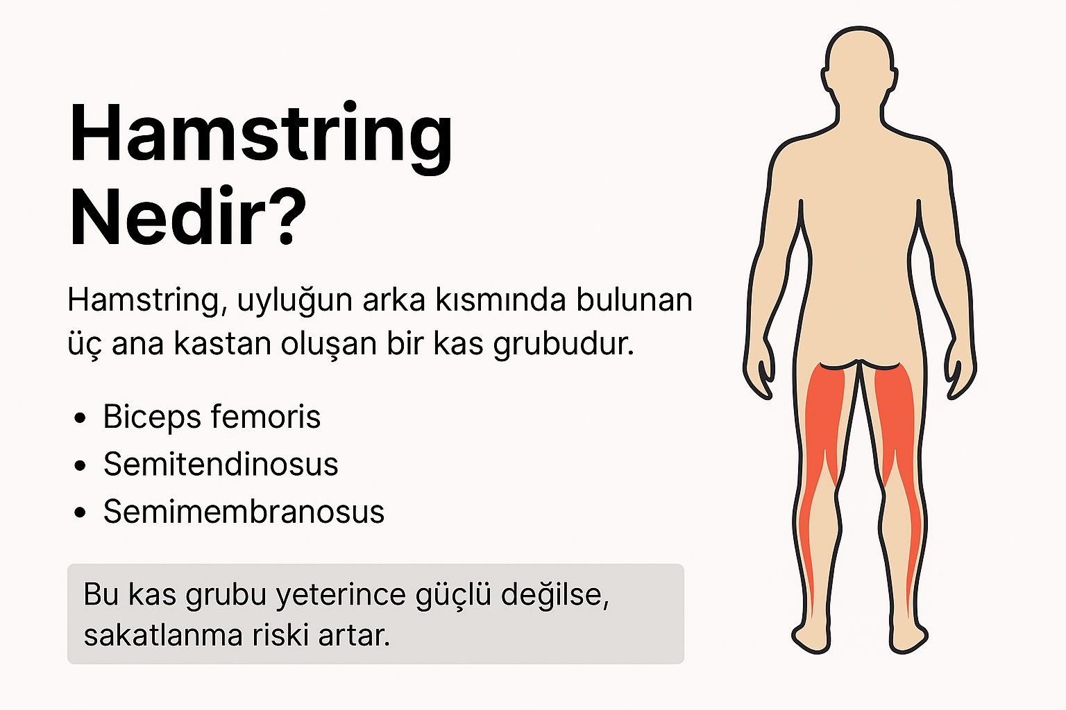 hamstring nedir